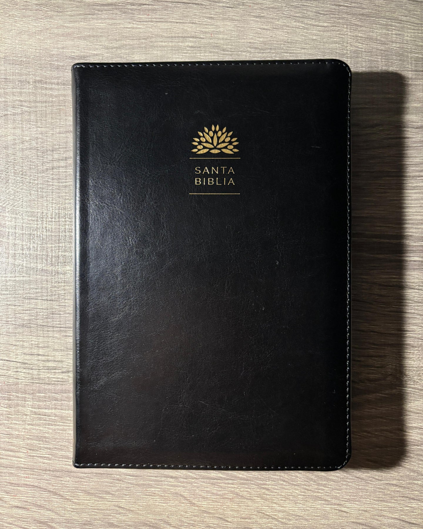 Santa Biblia con imágenes de la Tierra Santa Letra grande tamaño manual