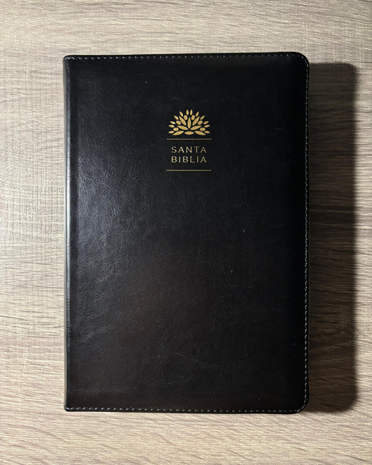 Santa Biblia con imágenes de la Tierra Santa Letra grande tamaño manual