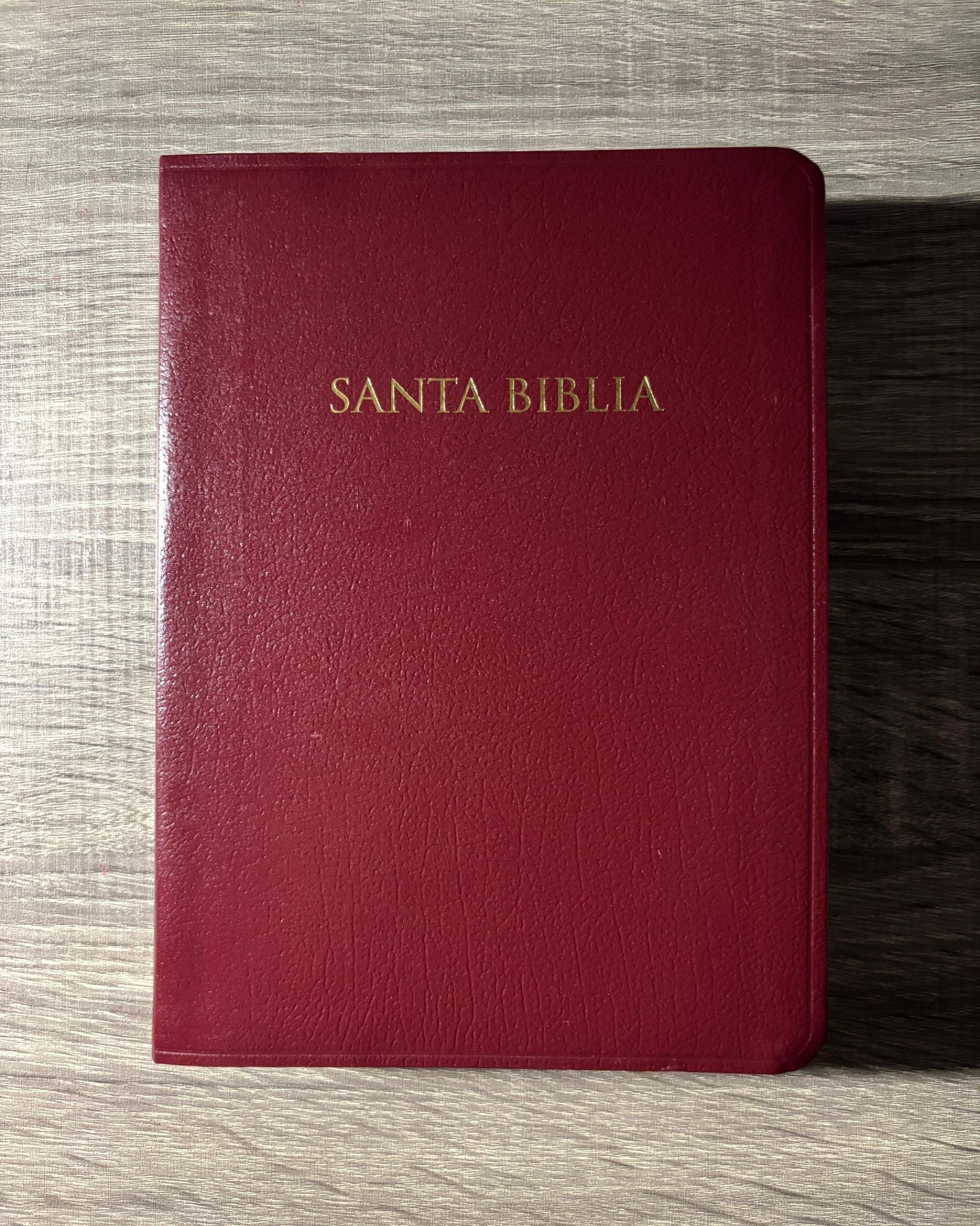 Santa Biblia para regalos y premios