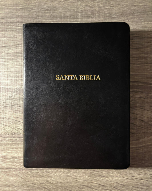 Santa Biblia RVR1960 edición Tierra Santa