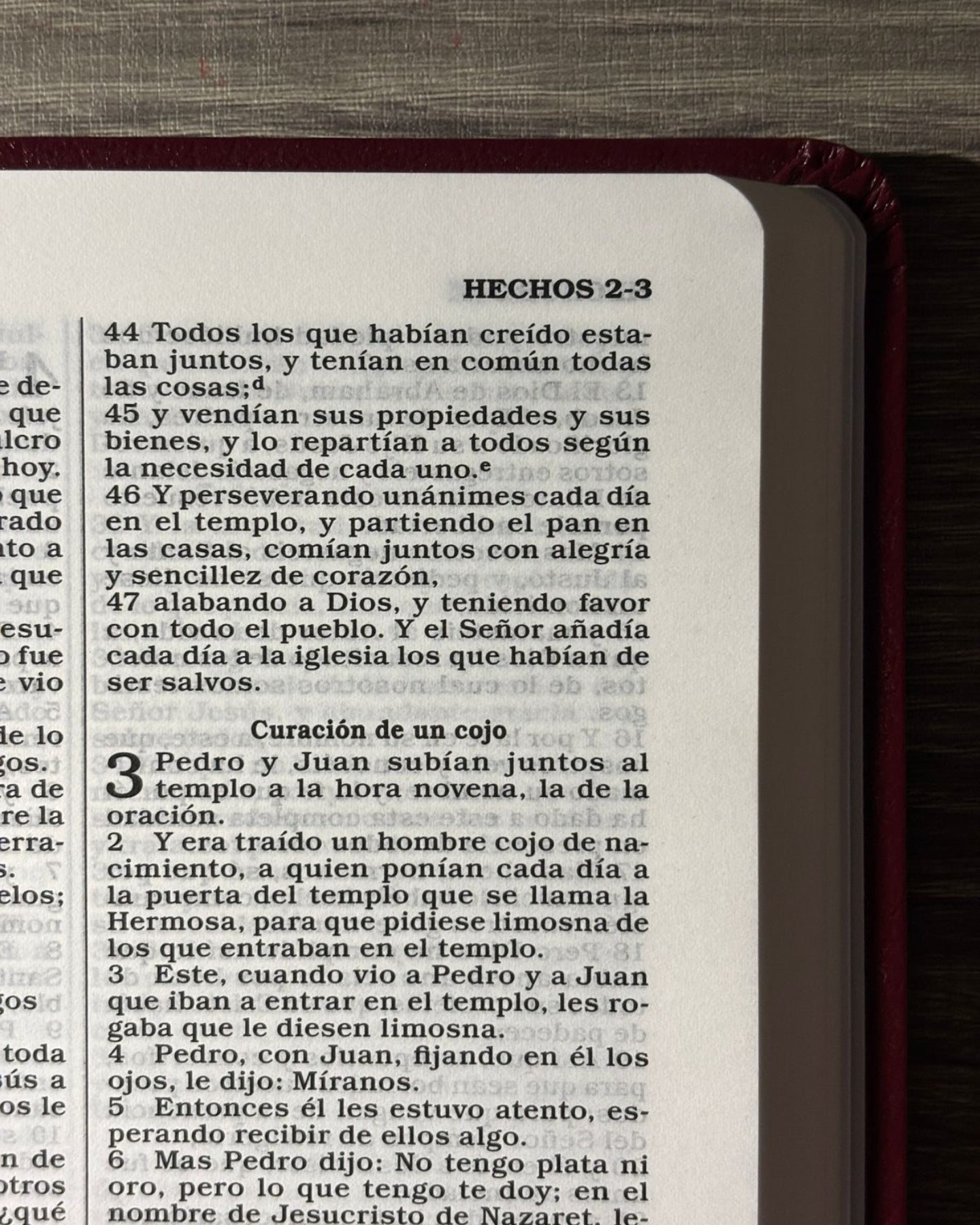 Santa Biblia para regalos y premios