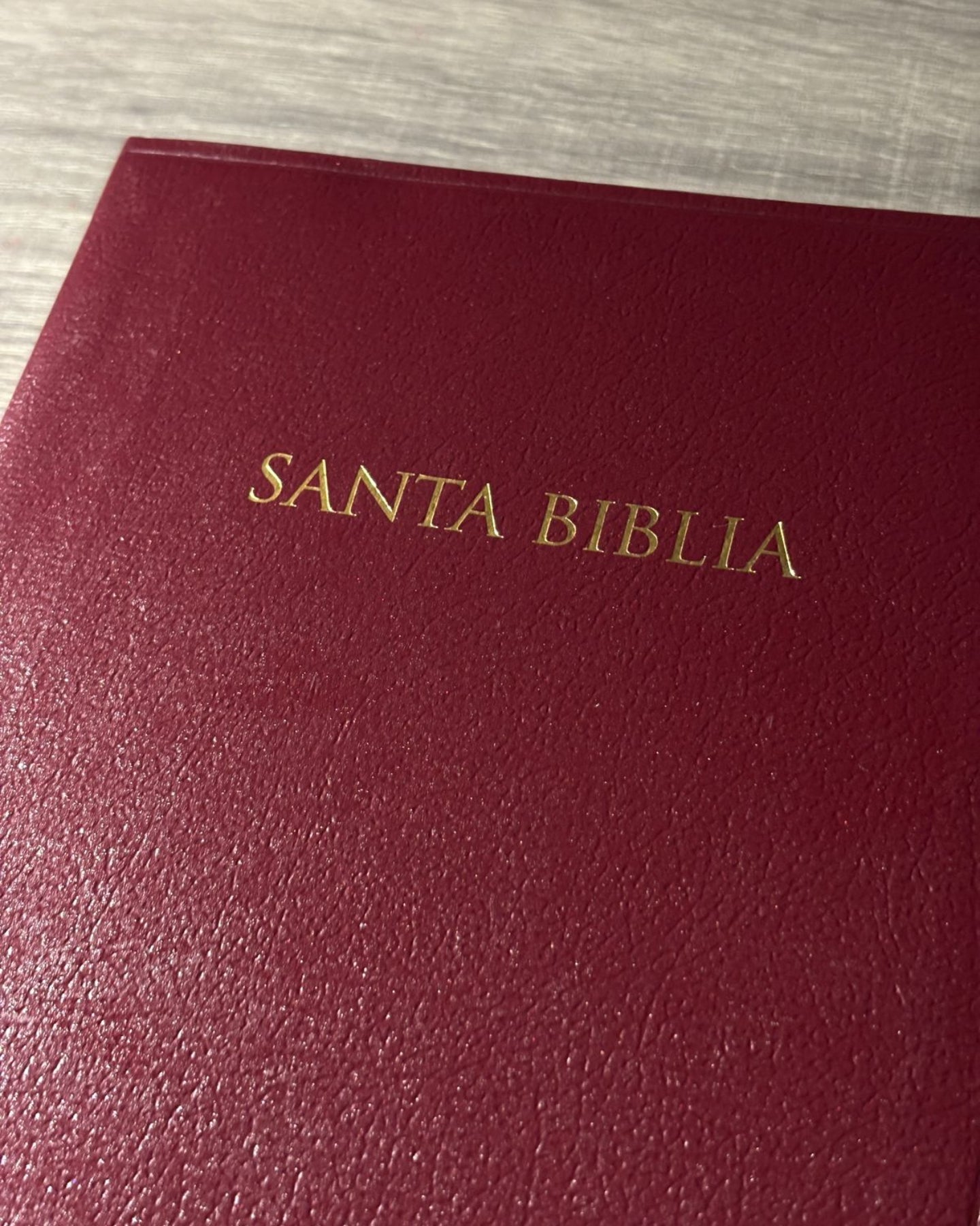 Santa Biblia para regalos y premios